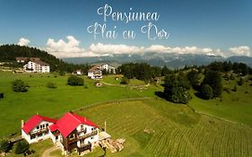 Plai cu Dor Fundata